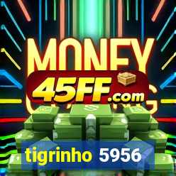 tigrinho 5956